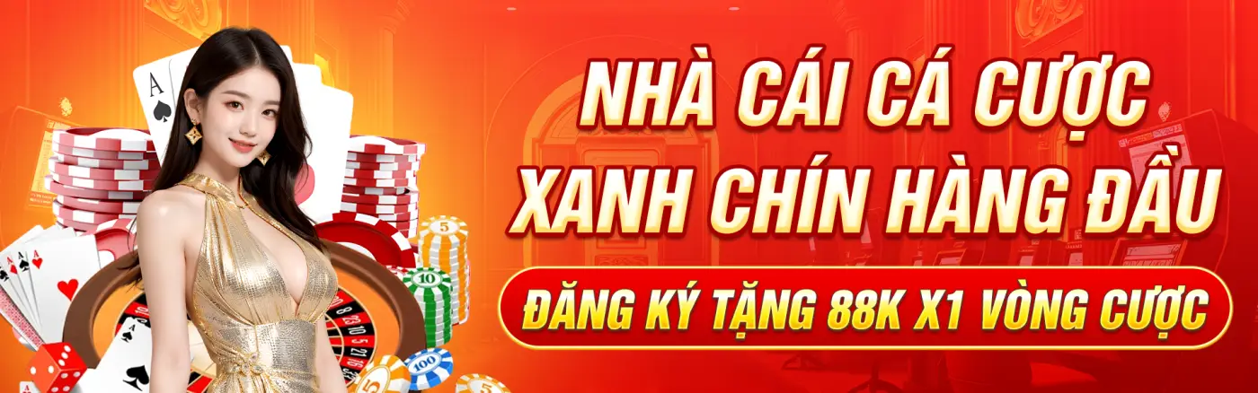 banner bsport