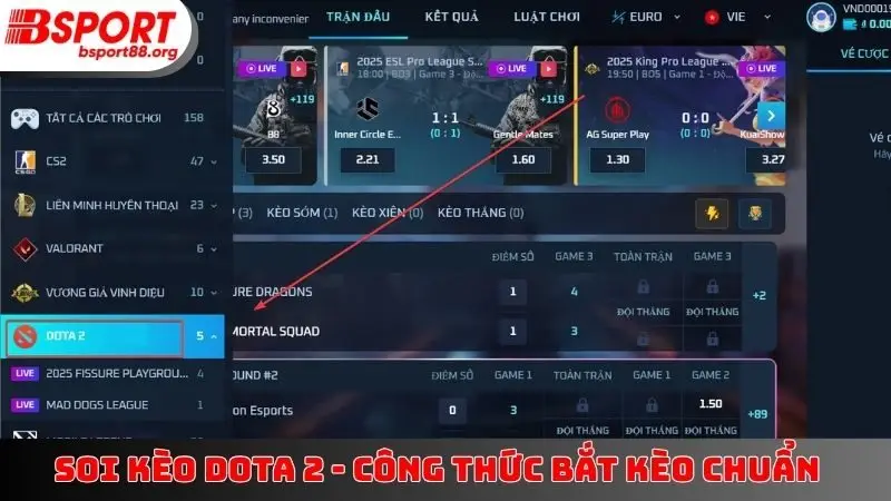 Soi Kèo Dota 2